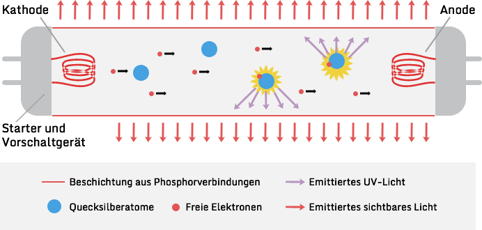 T5-Leuchtstoffrohre