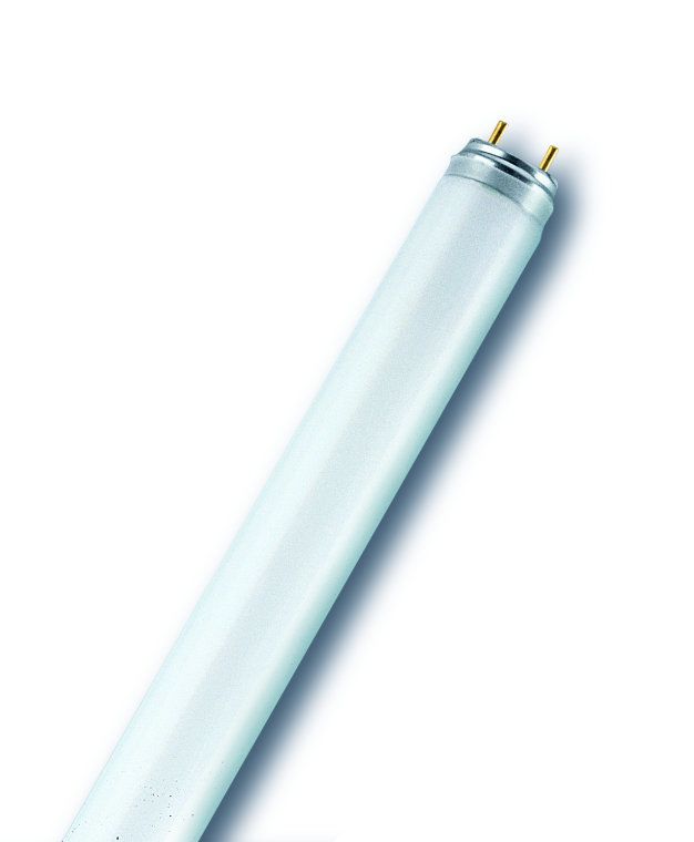 OSRAM L 10W/827 Lumilux-Leuchtstofflampe - Weiss Online Kaufen