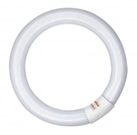 Ringform T9 Leuchtstoffröhre 32W 865 tageslichtweiß lm dimmbar G10q 360° 300mm