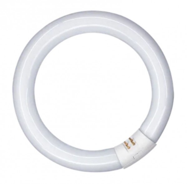 Ringform T9 Leuchtstoffröhre 22W 865 tageslichtweiß lm dimmbar G10q 360° 210mm