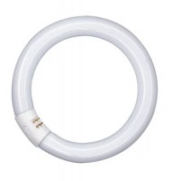 Osram L 22W/865 C Ringform Lumilux Daylight G10q (früher 22W/11-765)